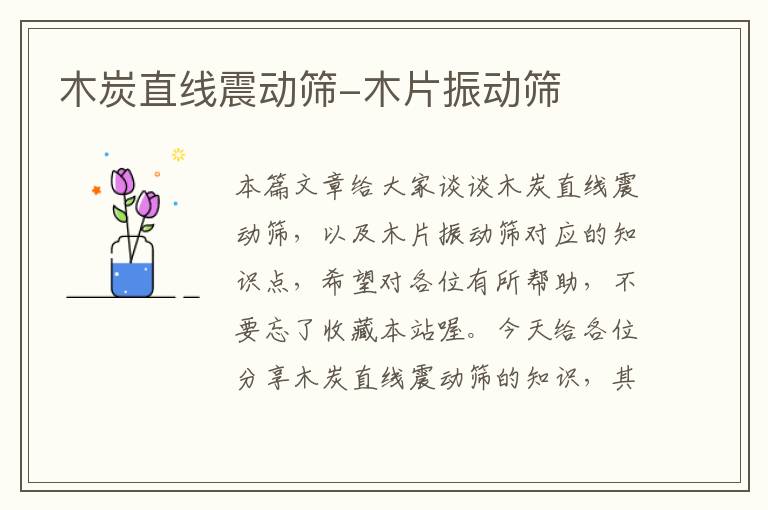 木炭直线震动筛-木片振动筛